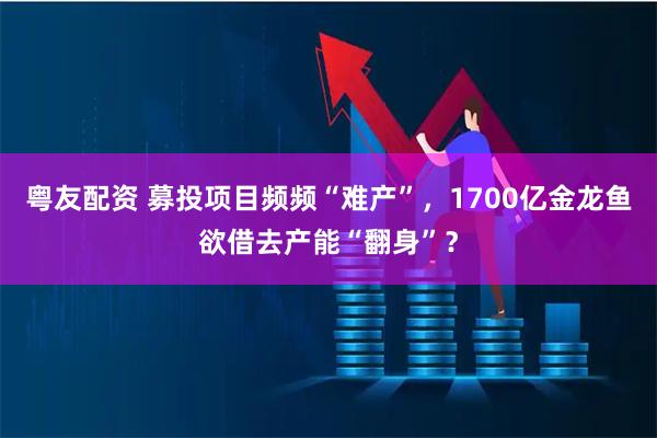 粤友配资 募投项目频频“难产”，1700亿金龙鱼欲借去产能“翻身”？