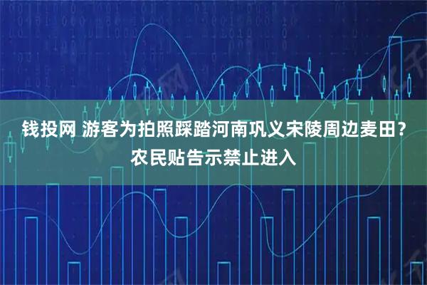 钱投网 游客为拍照踩踏河南巩义宋陵周边麦田？农民贴告示禁止进入